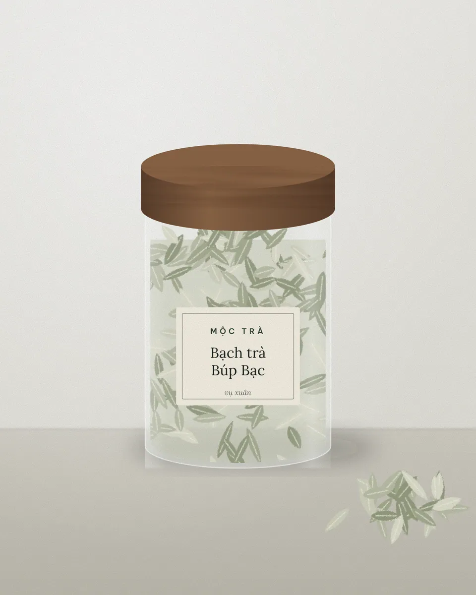 Lọ bạch trà Búp Bạc